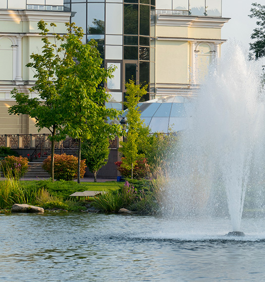 Commercial pond