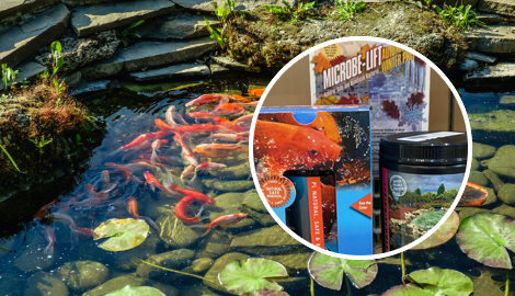 Largest Retailers & Wholesalers of Pond Supplies in Michigan